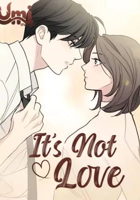 It's Not Love (Min Wonbaeg)