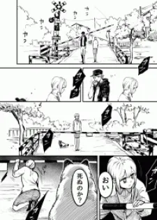 Ol Who Was Scouted By A Raccoon When She Tried To Die
