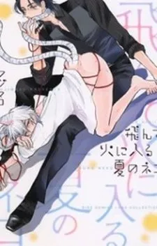 Tonde Hi ni Iru Natsu no Neko